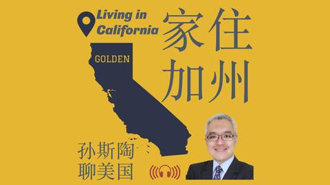 勒沃库森,逆袭多特,哈兰德缺席,JN,江南,江南体育入口,江南官网,江南体育APP下载